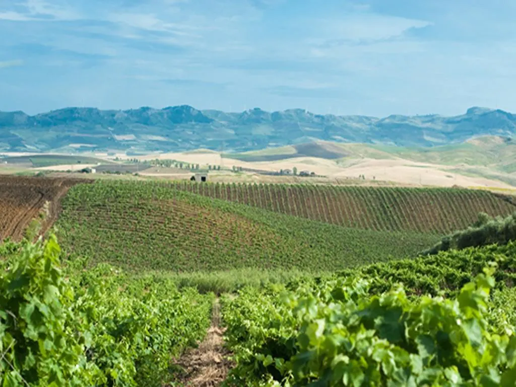 Agriturismo Sirignano Wine Resort 0*, Sirignano (Palermo) إيطاليا