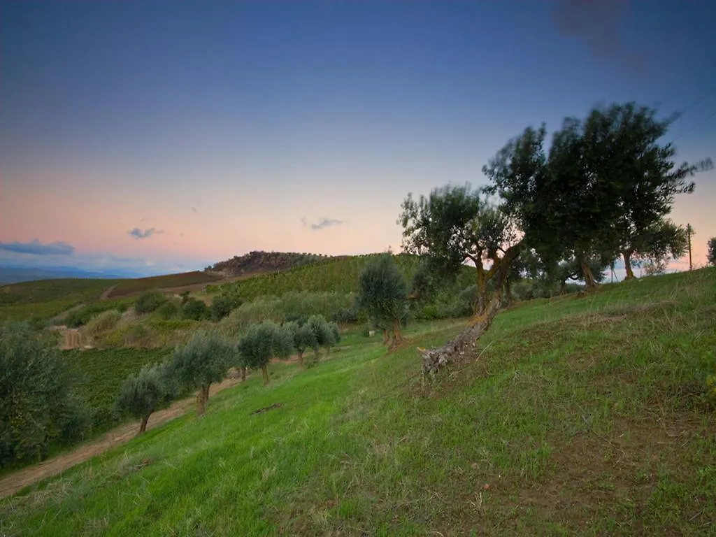 Sirignano Wine Resort