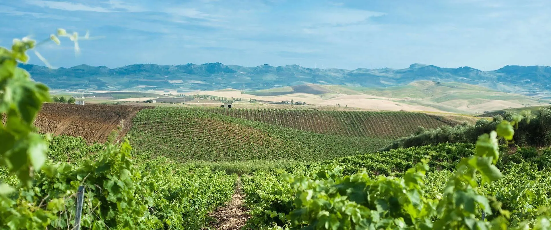 Agriturismo Sirignano Wine Resort Фермерский дом Sirignano (Palermo)